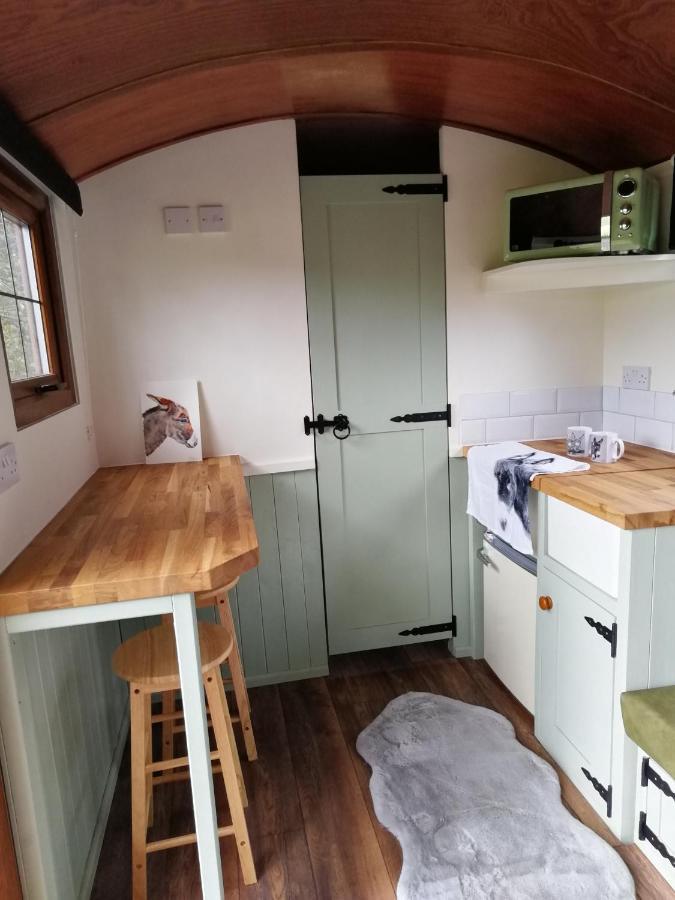 Hotel Durham Donkey Rescue Shepherd'S Hut Zewnętrze zdjęcie