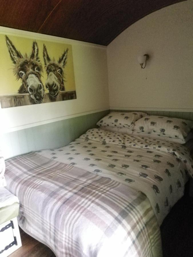Hotel Durham Donkey Rescue Shepherd'S Hut Zewnętrze zdjęcie