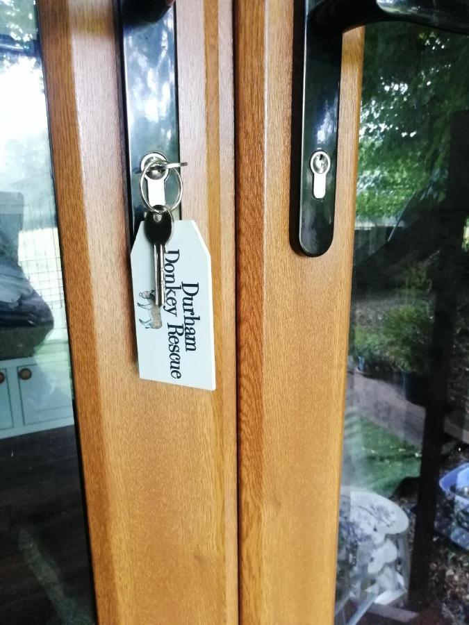 Hotel Durham Donkey Rescue Shepherd'S Hut Zewnętrze zdjęcie