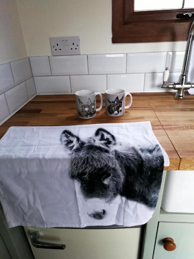 Hotel Durham Donkey Rescue Shepherd'S Hut Zewnętrze zdjęcie