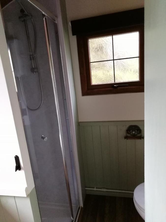 Hotel Durham Donkey Rescue Shepherd'S Hut Zewnętrze zdjęcie