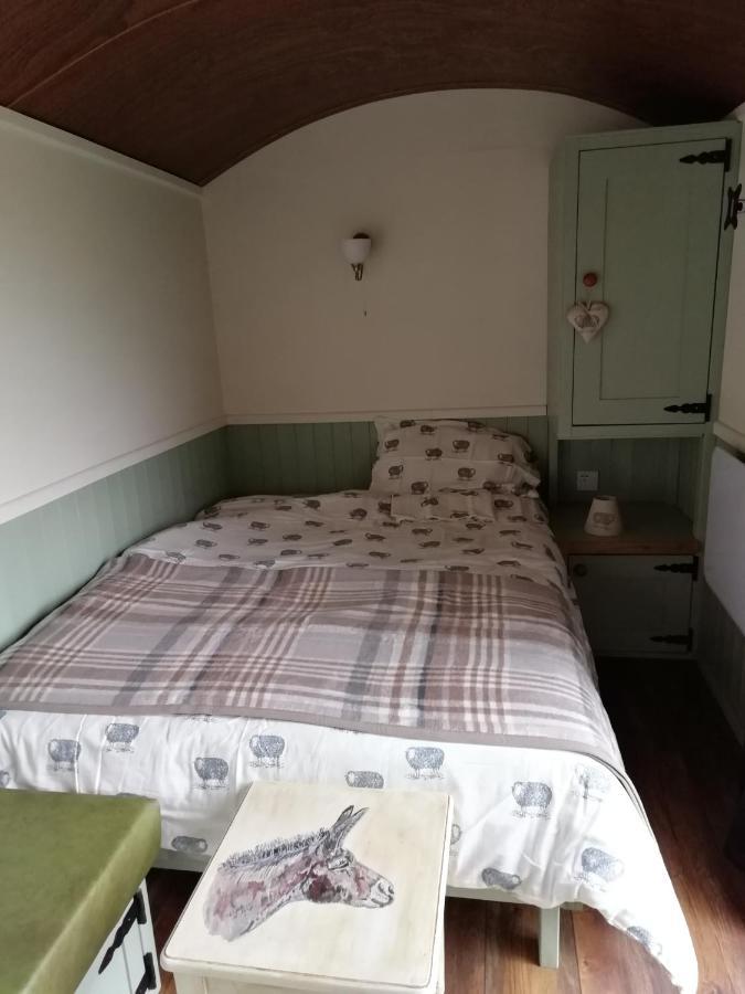 Hotel Durham Donkey Rescue Shepherd'S Hut Zewnętrze zdjęcie